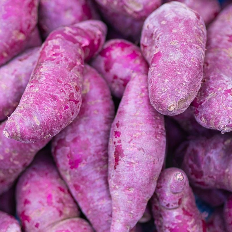 Fresh Purple Potato