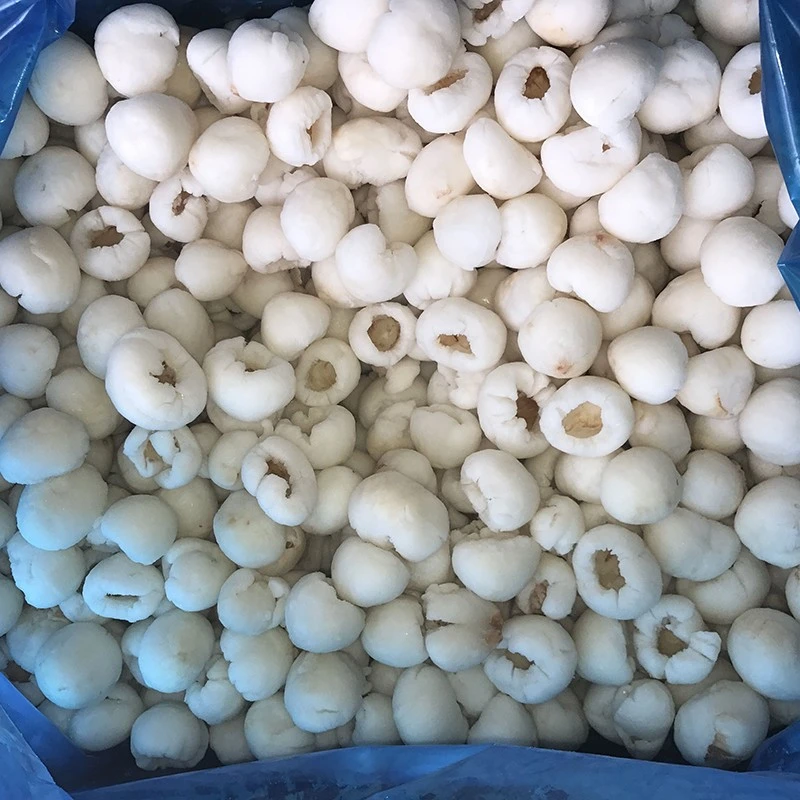 Freshly Frozen Lychee suppliers