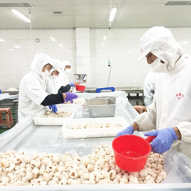 Freshly Frozen Lychee high quality
