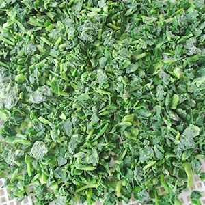 New Season Frozen Spinach Crumbs – 10x10mm Now Available